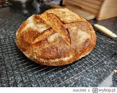 mac666 - Dzisiejszy chlebek.

#bojowkapiekarska #gotujzwykopem