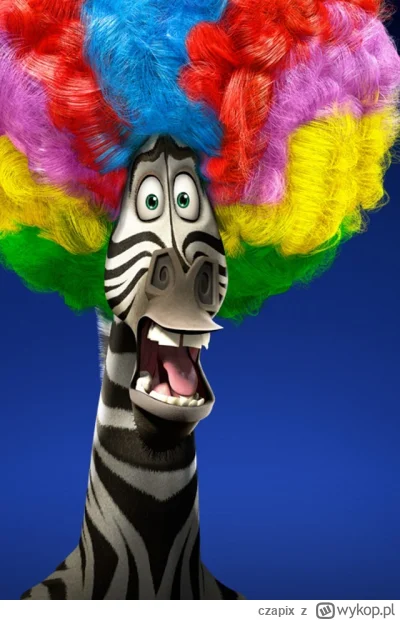 czapix - @zbychuzbychu1