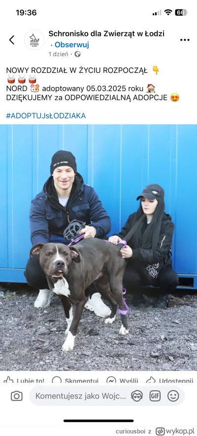 curiousboi - Dobrze że są procedury adopcyjne i z daleka widać że będą to odpowiedzia...