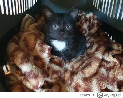 0caffe - @M4rcinS myślałem że mój xDDD