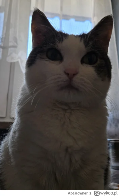 AbaKowner - @Solsith: proszę spaślaczku spójrz w lustro