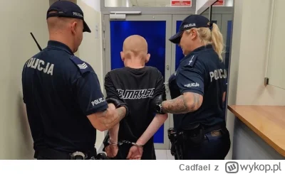 Cadfael - który to z was?
#przegryw

SPOILER