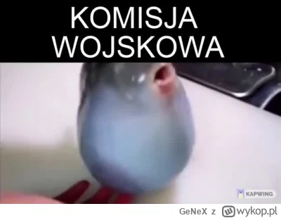 GeNeX - 🥚🥄👩‍⚕️

https://streamable.com/rg39k0

#heheszki