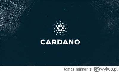 tomas-minner - Zespół Cardano ogłosił hard fork sieci
https://bitcoinpl.org/zespol-ca...