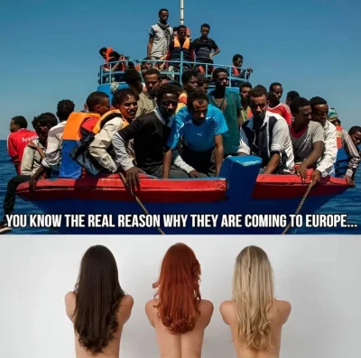 tylkoponsfw - Nie rozumiem rasistów z wykopu. Masowa imigracja z Afryki do Europy jes...