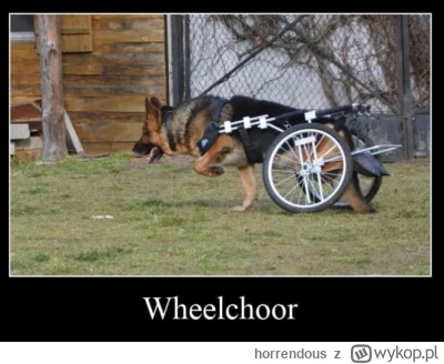 horrendous - #heheszki