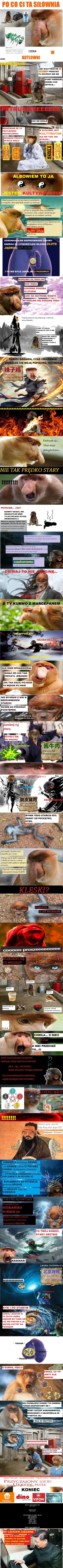 adalovelace - #konkursnanajbardziejgownianymemznosaczem #kolekcjaklasyki  tam magna i...