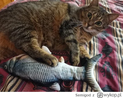 Semigod - @Semigod bonus 1