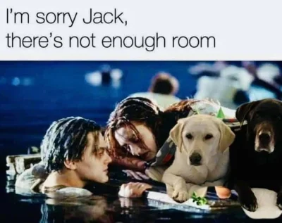 m0rr0s - #zydkrecikorba