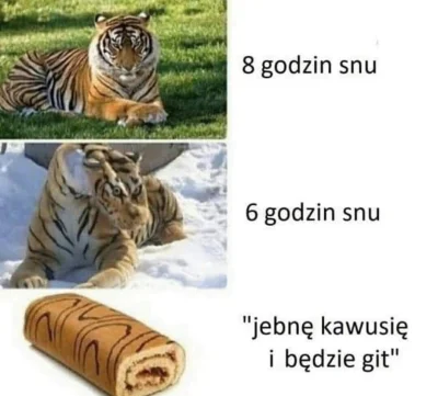 evolved - @MajsterZeStoczni: