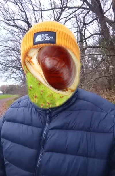 spulakopiel - #sebcel