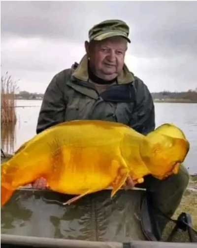 talmudyczny_triumfalizm - Taka ryba na zalewie wadowickim. Przynęty nie zdradzę, powi...