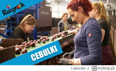 Lukardio - Czy nasz bohater zarabia chociaż te 1800euro i ma własny pokój
czy jednak ...