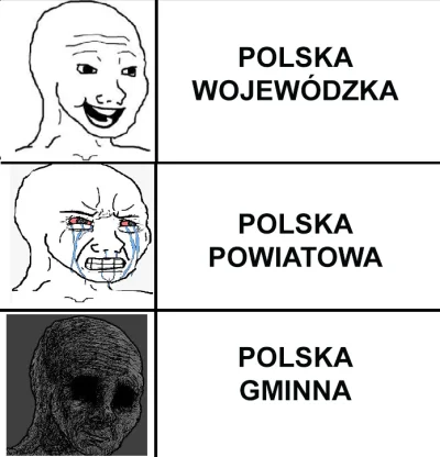 SilesianPill - #przegryw #demografia #nieruchomosci #pracbaza #polska #polskapowiatow...