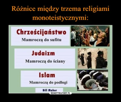 krytyk1205 - >Muzułmanie? Nie widzę różnicy między nimi a polskimi katolikami.

@Danu...