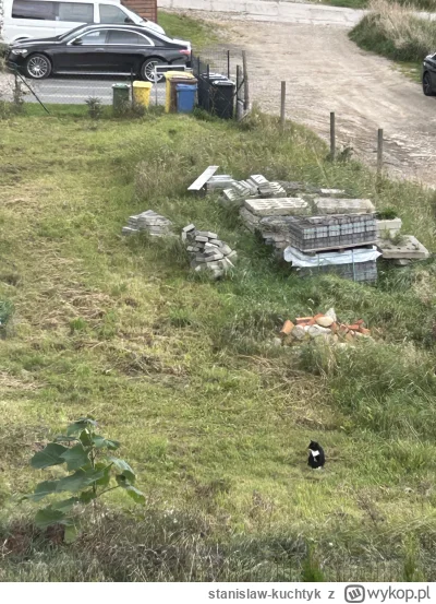 stanislaw-kuchtyk - #kononowicz 
Jak nie Mariola, to 14 letnia Zosia pod chata…