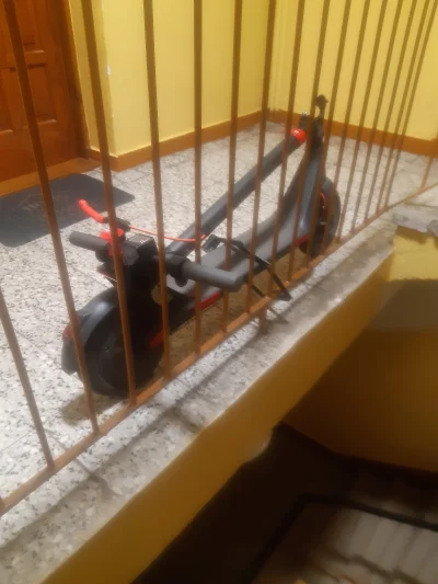 gripex-noc - #raportzpanstwasrodka No i teraz nie wiem czy hirosow sztange zamowic że...