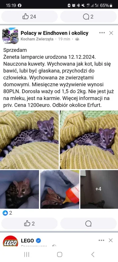 Lujdziarski - #pokazkota #dziarskikacperek Siostra mi wysyła jakie ogłoszenie się poj...
