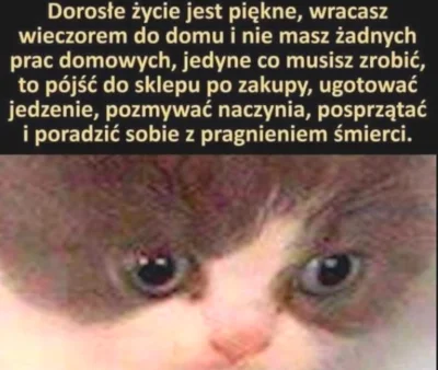 wybryk_natury - #zlodziejskiewybryki