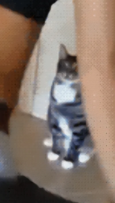 sciemka7 - @wfyokyga: co sie odjaniepawla?!