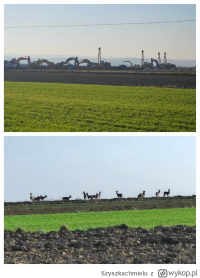 Szyszkachmielu - 639 147 + 123 + 108 + 8 = 639 386

Dobry to był weekend. Może nie za...