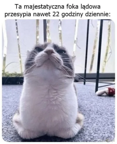 wybryk_natury - #zlodziejskiewybryki