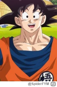 SpiderFYM - GOKUUUUUUUUUUUU
#wislakrakow