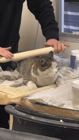 RitmoXL - @wybryk_natury: (｡◕‿‿◕｡)