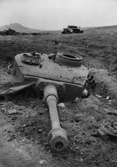 zielonykszak - @wfyokyga: rip wyfonga