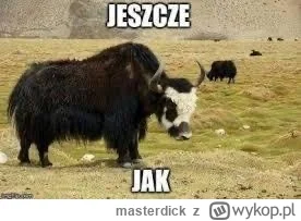 masterdick - @mickpl