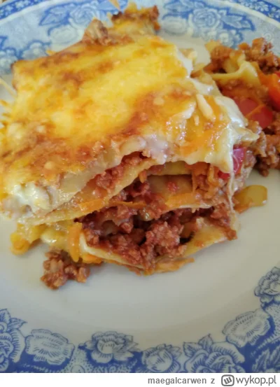 maegalcarwen - Moja lazania, z warstwą duszonych warzyw #gotujzwykopem