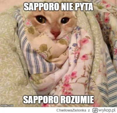 ChwilowaZielonka - #skoki Gotowy na konkursik? ( ͡° ͜ʖ ͡°)