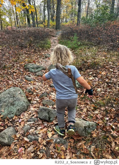 R2D2zSosnowca - Był weekend. Była pogoda to i bombelki zostały konkretnie przegonione...