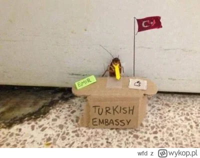 wfd - @wykopowajulka15: Przede wszystkim niech się zgłosi do ambasady Turcji w Madryc...