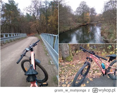 gramwmahjonga - #rowerowyrownik #rower
635 065 + 26 = 635 091

Zimnica totalna, ale j...