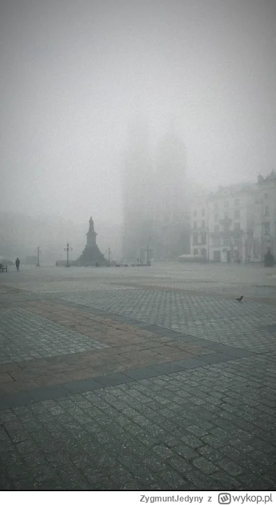 ZygmuntJedyny - Mgła gęsta jak mleko. #dziendobry #krakow