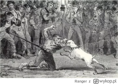 Ranger - Czy da się zwyciężyć w walce z psem bez użycia broni?

Tak, możesz walczyć z...