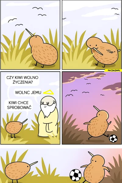 MarianJanusz - #mecz #pilkanozna #nowazelandia