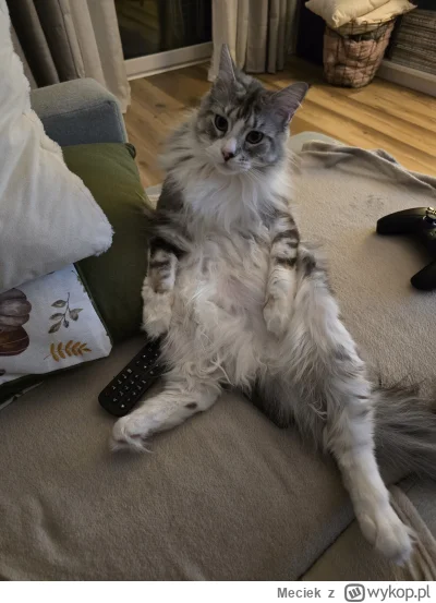 Meciek - @Kremlowska_kaleka: no siema