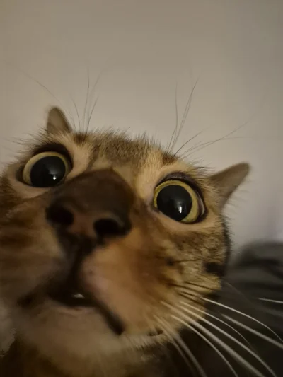 Lujdziarski - @Lujdziarski ale faza ja p------e xD