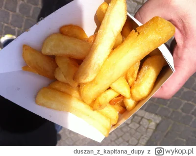 duszanzkapitana_dupy - Mirki, kupiłem takie o to rzemieślnicze fryty z #foodtruck za ...