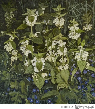 Bobito - #obrazy #sztuka #malarstwo #art

Peter Newcombe - Białe martwe pokrzywy (198...