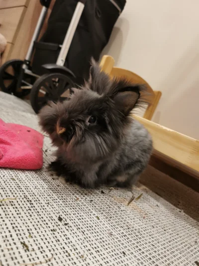 watchguy - @watchguy a tu po