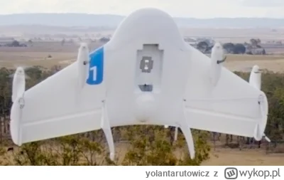yolantarutowicz - Można prościej, jak dron Google (start w pionie, przejście do lotu ...