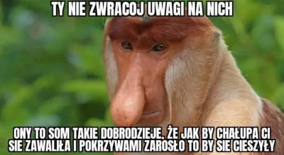 paczelok - #konkursnanajbardziejgownianymemznosaczem qui plus pecuniae in fodienda se...