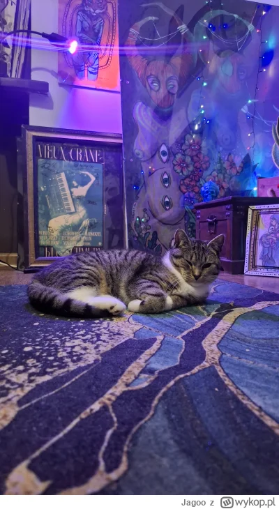 Jagoo - Fajna babeczka, co nie? 
To jest Ptysia, nie nadaje się do domu z dziećmi czy...