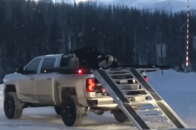 wfyokyga - Śmiechu warte