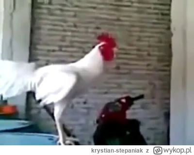 krystian-stepaniak - #ajemge1