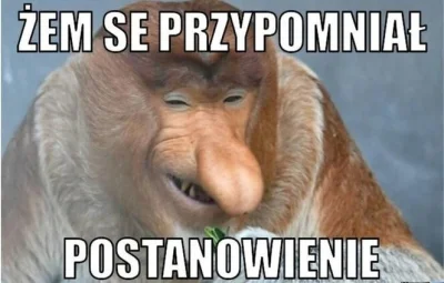 powsinogaszszlaja - @aarahon: