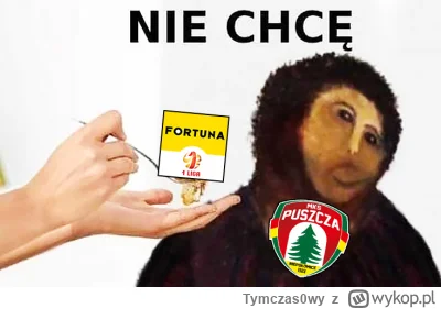 Tymczas0wy - Ależ to jest niejadek!

#mecz #ekstraklasa #najlepszaligaswiata